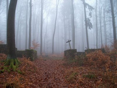Das Limeskastell Holzhausen